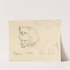 Cats by Christoph Voll