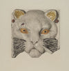 Cat’s Head