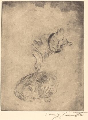 Cats (Katzenstudie)