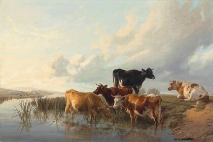Cattle By A River