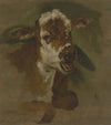 Cattle head