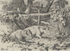 Cattle Resting