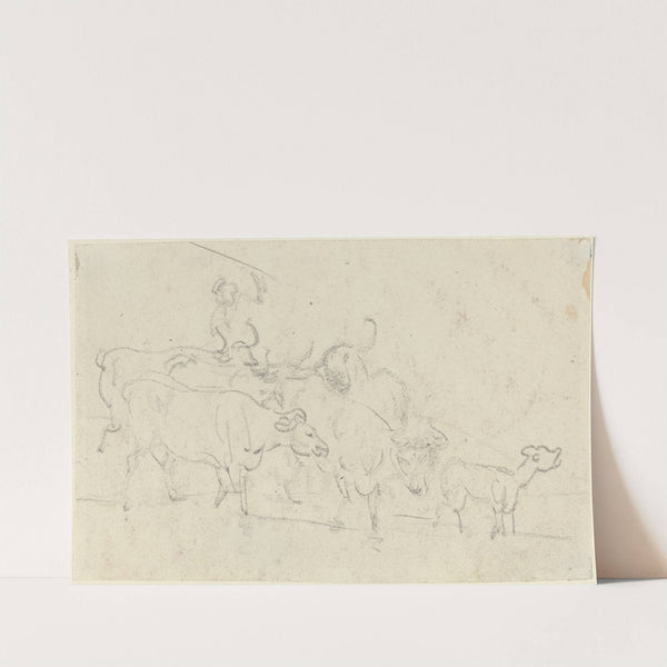 Cattle by Thomas Rowlandson