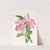 Cattleya maxima. by Jean Jules Linden