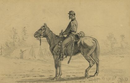 Cavalry orderly waiting for orders