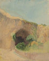 Bur-forget-me-not (Lappula diffusa) (1903)