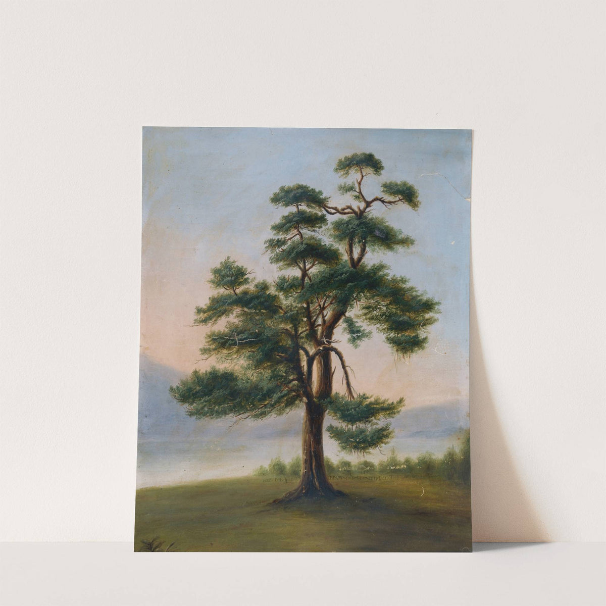 Cedar Tree by F. Bindon Burton