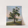 Cedar Tree by F. Bindon Burton