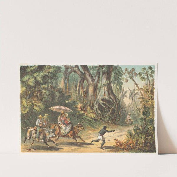 Cercanias de Baracoa (1855) by Pierre Toussaint Frédéric Mialhe