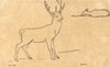 Cerf debout à droite (19th century)