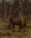 Cerf et biches dans la forêt, automne