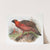 Ceriornis satyra. (1872) by Joseph Smit