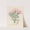 Ceropegia or Echites [Pachypodium succulentum] by Clemenz Heinrich Wehdemann