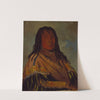 Chá-Tee-Wah-Née-Che, No Heart, Chief of The Wah-Ne-Watch-To-Nee-Nah Band by George Catlin