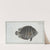 Chaetodon suratensis. (1785-1797) by Marcus Elieser Bloch