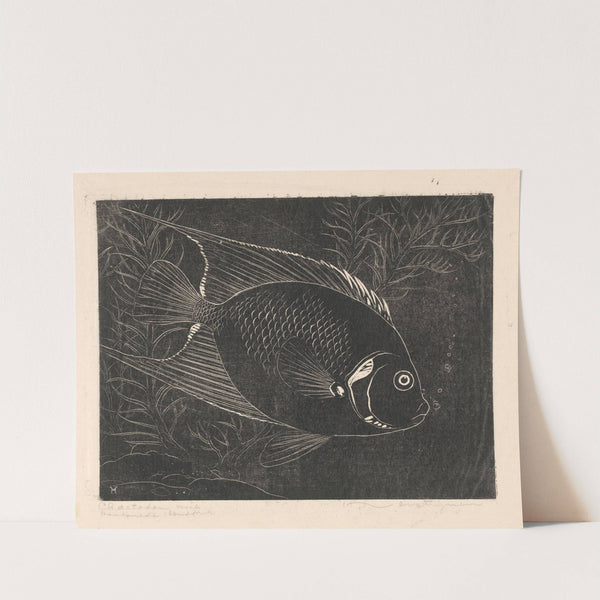 Chaetodon visch (1892-1940) by Henri Verstijnen