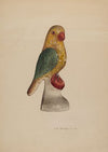 Chalkware Bird