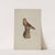Chalkware Bird by Elmer R. Kottcamp