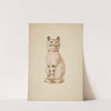 Chalkware Cat by Betty Fuerst