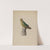 Chalkware Parrot by Mina Lowry