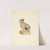 Chalkware Rabbit by Stanley Mazur