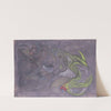 Chameleo, from the series; &#039;Astronomical compositions&#039; by Stanisław Ignacy Witkiewicz