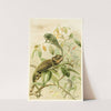 Chameleons (1893-1896) by Pierre Jacques Smit