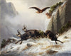 Chamois, persecuted by an Eagle