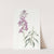 Changeable Wall-flower by Sydenham Edwards
