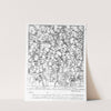 Characters and Caricaturas by William Hogarth