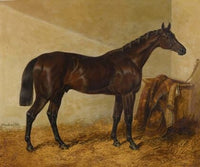 Charles Xii, Winner Of The St. Leger And Gold Cup, Doncaster