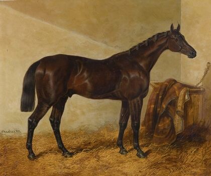Charles Xii, Winner Of The St. Leger And Gold Cup, Doncaster