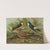 Chelidonaria urbica, Caprimulgus aegyptius Lichtenstein by Johann Friedrich Naumann