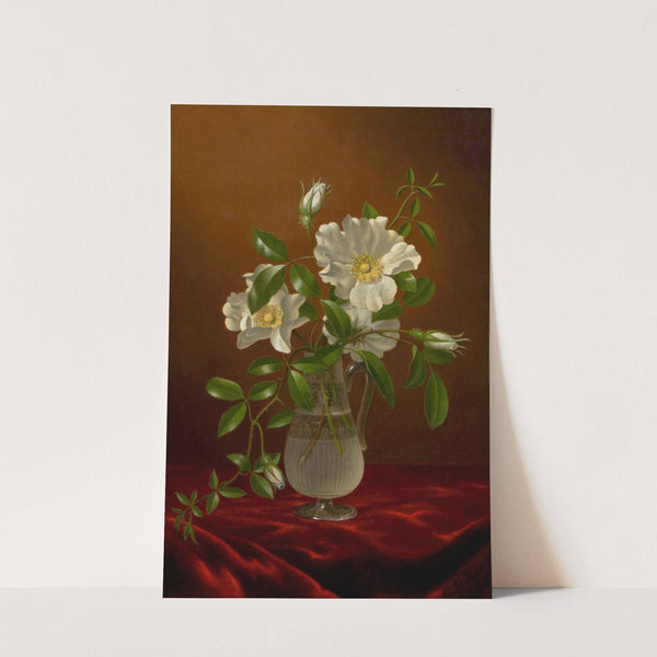 Cherokee Roses in a Glass Vase (circa 1883-1888) by Martin Johnson Heade