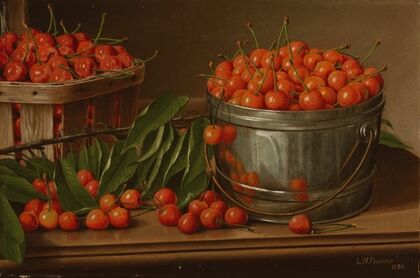 Cherries in Bucket (Still Life with Cherries and Pail)