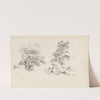 Chestnut and Pine (1869) by David Johnson