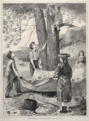 Chestnutting (1870)