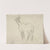Cheval by Edgar Degas