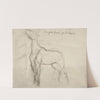 Cheval by Edgar Degas