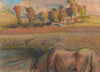 Cheval au bord de la mare