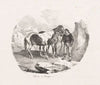 Chevaux d’ Auvergne (1822)