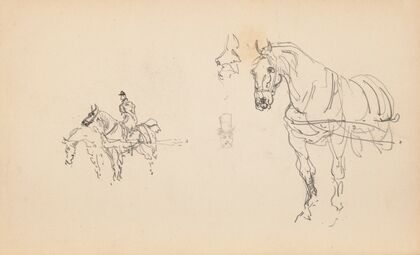 Chevaux