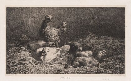 Chickens (1867)