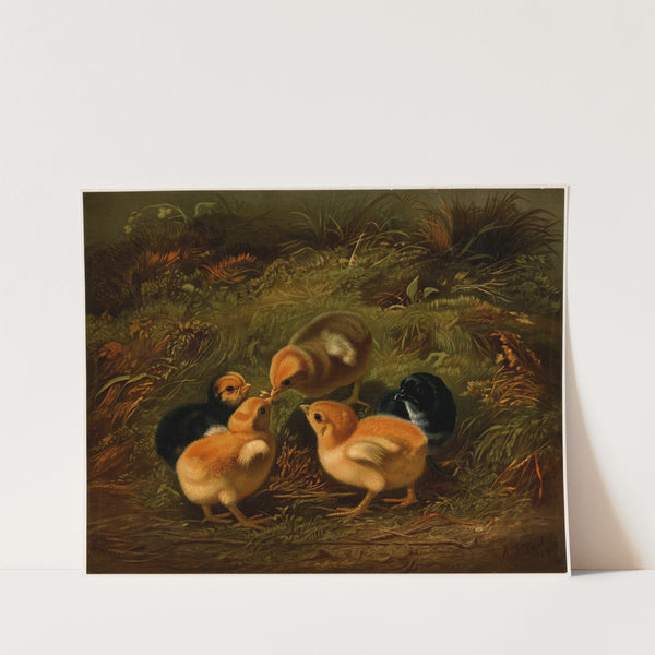 Chickens (ca. 1861–1897) by Arthur Fitzwilliam Tait