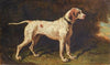 Chien À L’arrêt (1857)
