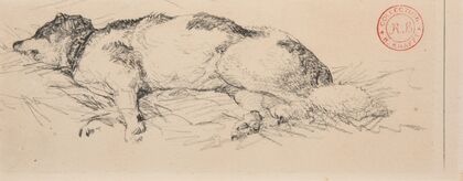 Chien couché