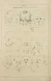Children’s heads – principles of proportion and attitude