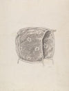Child’s Cap