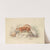 Chili Skunk (1837) by Charles Hamilton Smith