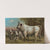 Chillingham Cattle. by John George Wood
